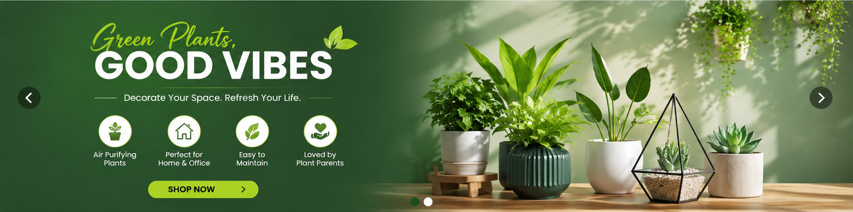 Homepage slider