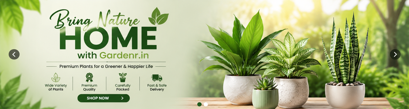 Homepage slider