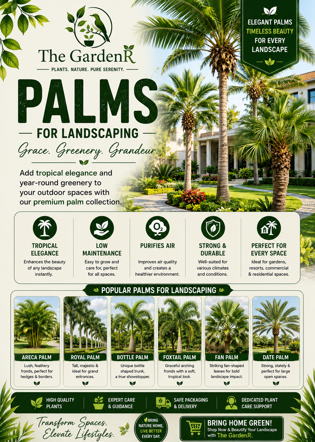 Palms for landscaping