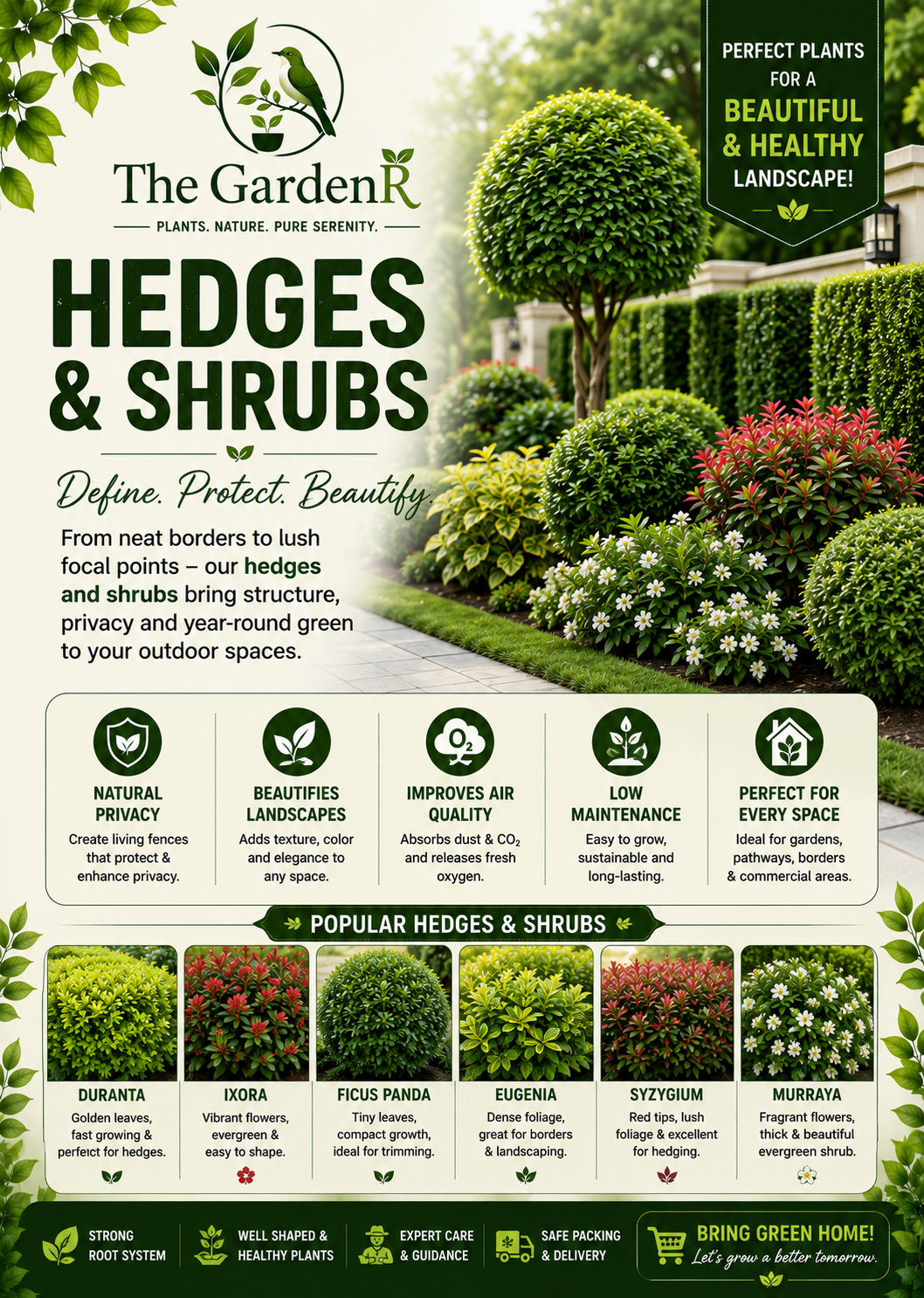 Hedges and shrubs