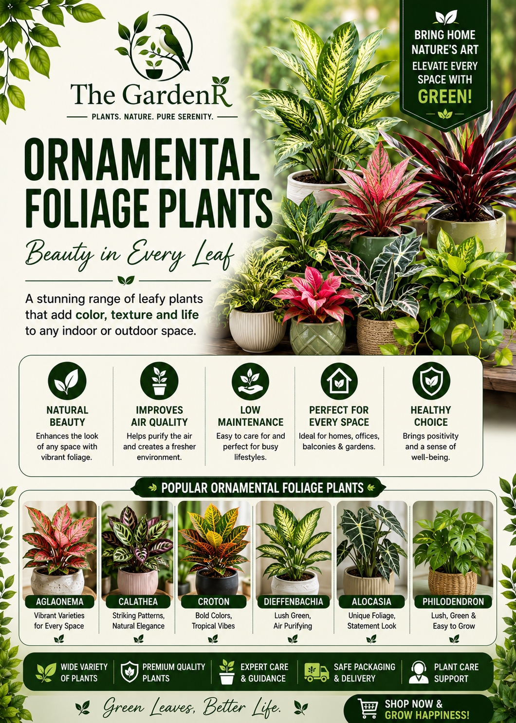 Ornamental foliage plants